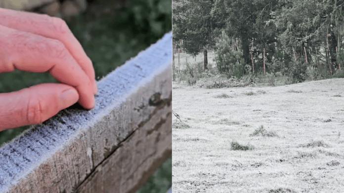 Frio se fez presente na Serra catarinense (Foto: Sérgio Felipe Rodrigues, Divulgação)