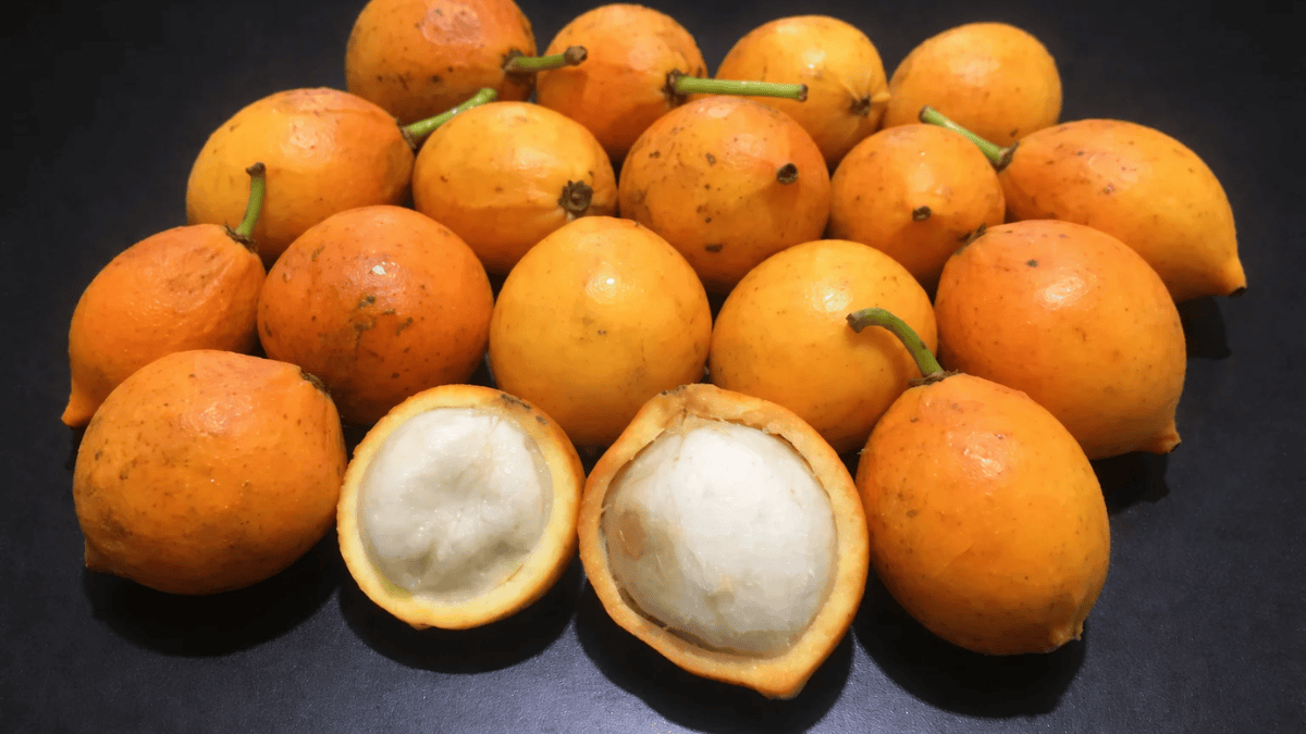 fruta amarela bacupari (6)