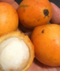 Fruta amarela tem polpa suculenta, gosto de salada de frutas e cresce em quase todo território brasileiro