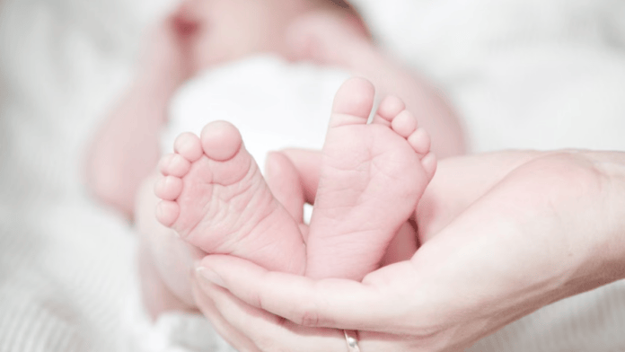 Sem um teste de paternidade, casos de superfecundação heteroparental podem nunca ser descobertos, já que os bebês nascem como outros gêmeos fraternos (Foto: Rene Terp / Pexels)