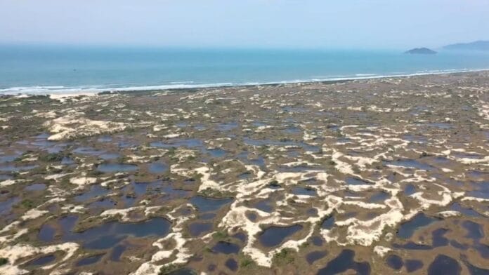 "Lençóis Manezinhos": chuvas transformam dunas de Florianópolis em Espetáculo natural