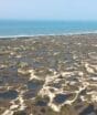 Chuvas transformam dunas em “Lençóis Manezinhos”, encantam turistas, mas especialistas alertam para o risco