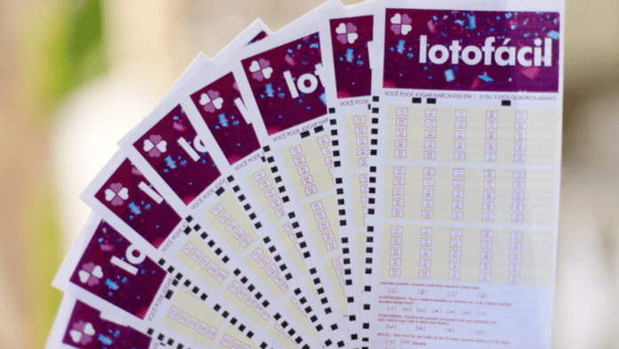 Apostas acertaram 14 dos 15 números sorteados (Foto: Rodrigo de Oliveira, Caixa, Divulgação)