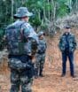 Mais de 280 hectares recebem multas de R$ 2,7 milhões por desmatamento ilegal da Mata Atlântica em SC