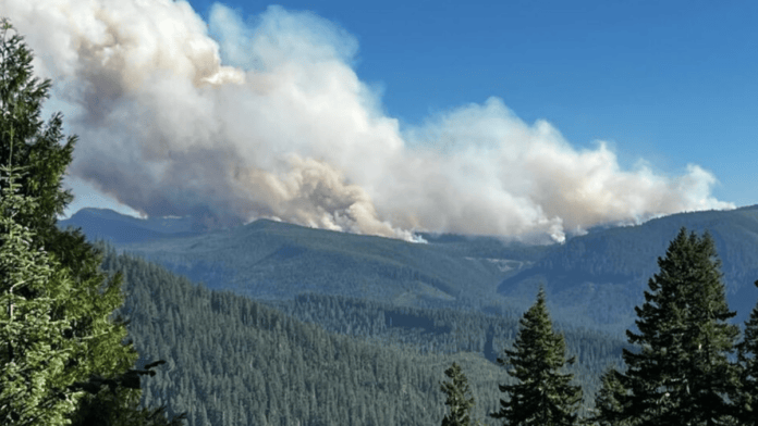 O calor intenso do incêndio força ar, fumaça e vapor a subir e inicia a formação da nuvem (Foto: U.S. Forest Service / Wikimedia Commons)
