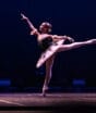 Assista à noite dos campeões sênior do Festival de Dança de Joinville