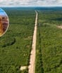 Nova rota da soja vai atravessar floresta ameaçada entre Brasil e Bolívia com aval de magnatas do agro