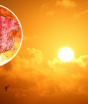 Onda de calor pode chegar ao Brasil com temperaturas de até 40°C em meio ao inverno nos próximos dias
