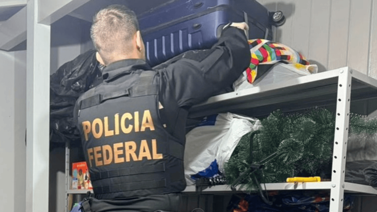 Operação que bloqueou R$ 37,8 milhões de organização criminosa tem oito mandados cumpridos em SC