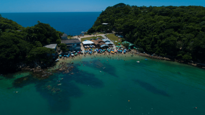 Praia que teve acesso restrito por portão e virou alvo de ação da Justiça é paraíso do mergulho em SC