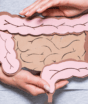 Saúde intestinal: sinais de alerta e hábitos para cuidar do intestino