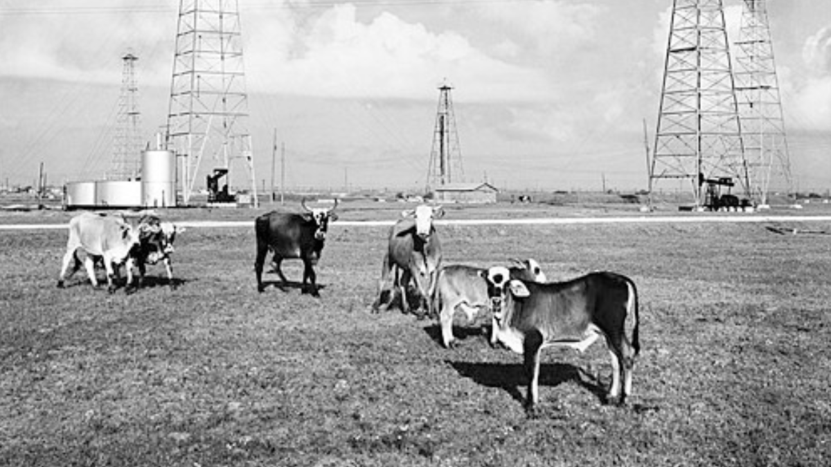 Conforme os serviços se espalhavam pelos campos de petróleo, cresciam também equipamentos e instalações. Este registro de Pierce Junction, no Texas, em 1954, mostra uma etapa dessa expansão. (Foto: Robert Yarnall Richie / DeGolyer Library, SMU)