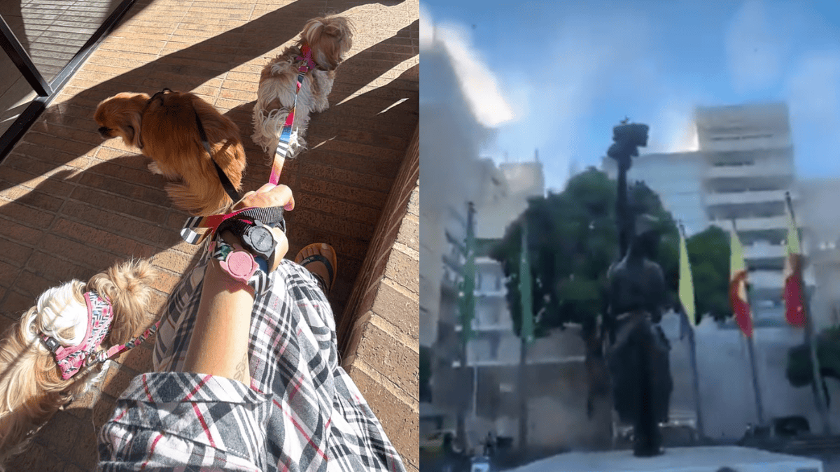 Daiane só teve tempo de buscar seus cachorros e sair correndo de prédio (Foto: Daiane Würz, Arquivo pessoal; Redes sociais, Reprodução)