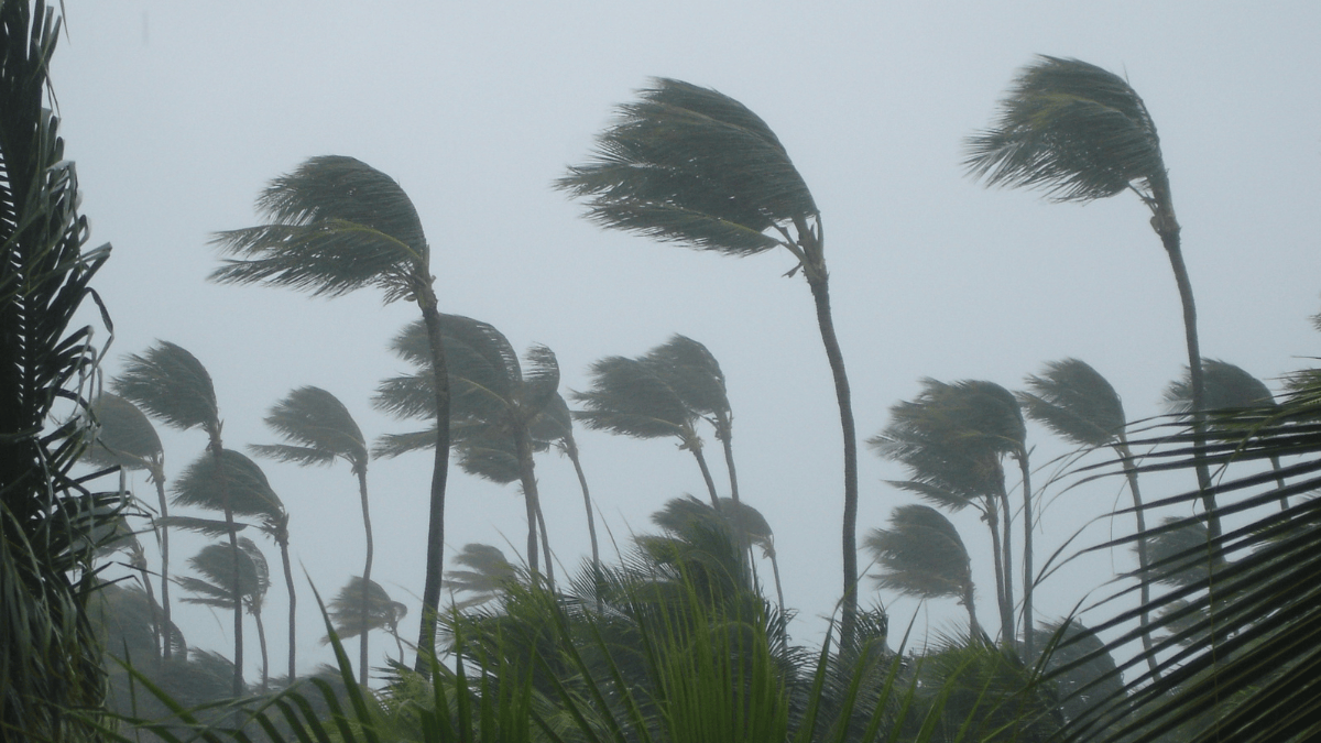 Ventos podem variar entre 60 e 100 km/h nas áreas afetadas no Sul do Brasil, segundo o Inmet (Foto: Banco de Imagens)