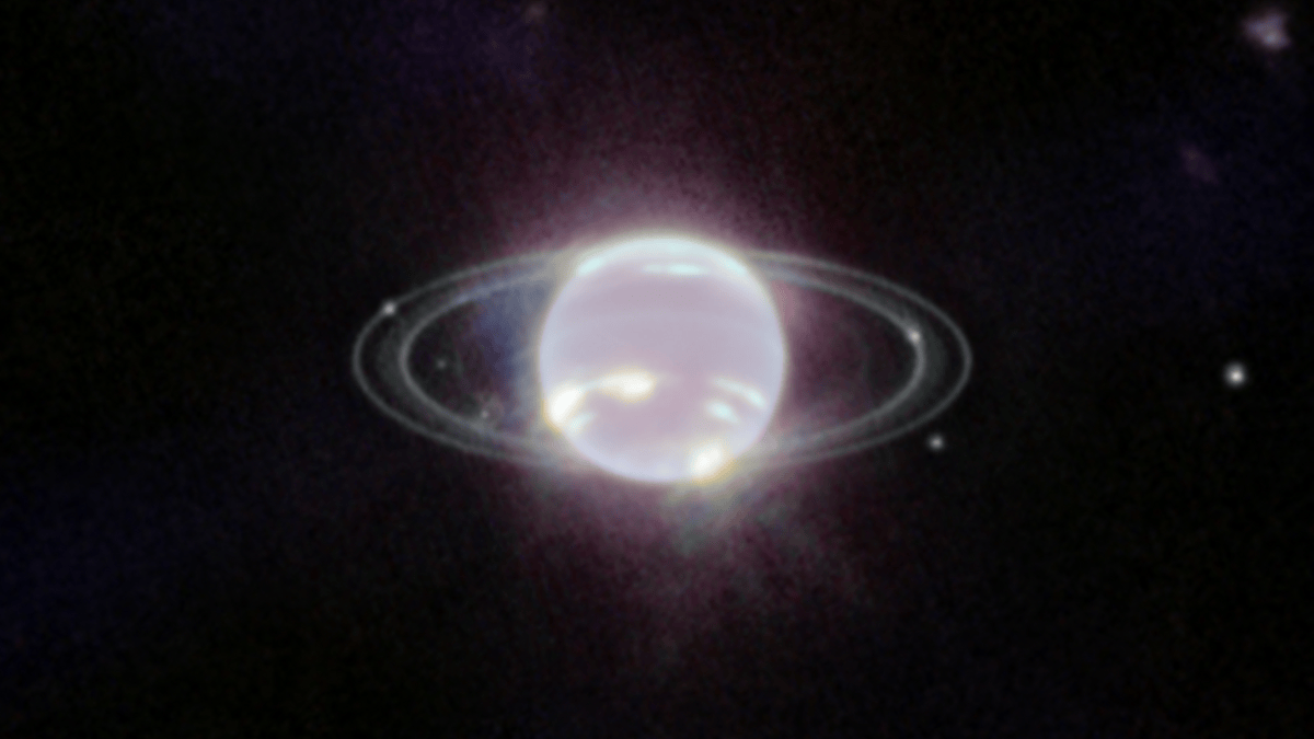 Netuno possui cinco anéis principais e arcos mais discretos ao redor do planeta (Foto: NASA, ESA, CSA, STScI / Wikimedia Commons)