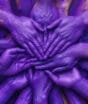O poder do roxo: como uma cor pode transformar uma campanha em experiência de marca