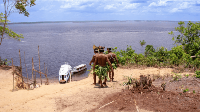 Baixa prevalência de demência entre indígenas da Amazônia chama atenção de pesquisadores