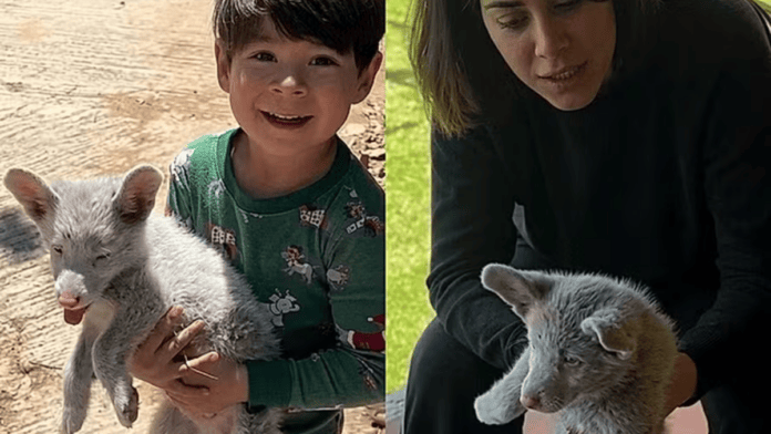 Menino segura o filhote Bolt ao lado da mãe, antes da adoção. (Foto: Reprodução/Carlos Calderón)