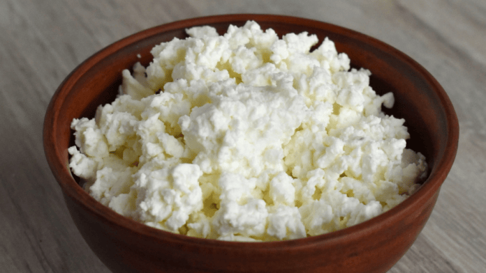 Queijo cottage se destaca pela concentração de proteínas e pela presença de caseína (Foto: Enotovyj/Pixabay)