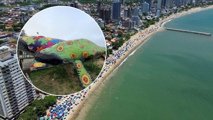 Baleias coloridas somem e avaliação vai determinar destino das gigantes em praia famosa de SC