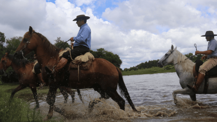Turismo rural nasceu na Serra de SC e transformou fazendas de Lages em destinos para viver a vida no campo