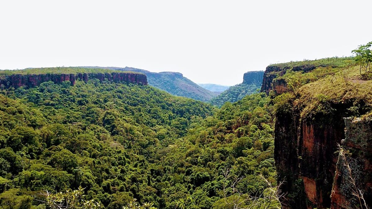 Com 811 metros de altitude, Chapada dos Guimarães combina formações rochosas, cavernas e cachoeiras em meio ao cerrado (Foto: Carlos Souto/ Wikimedia Commons)