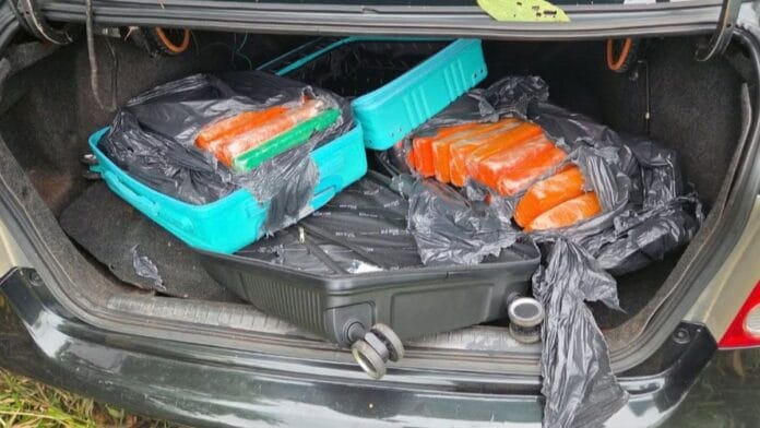 Civic que escondia 70 quilos de maconha é abandonado em terreno baldio após perseguição policial em Joinville