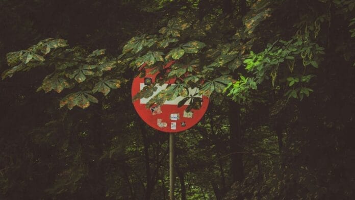 Levou multa em rua com placa apagada ou escondida? Saiba como anular