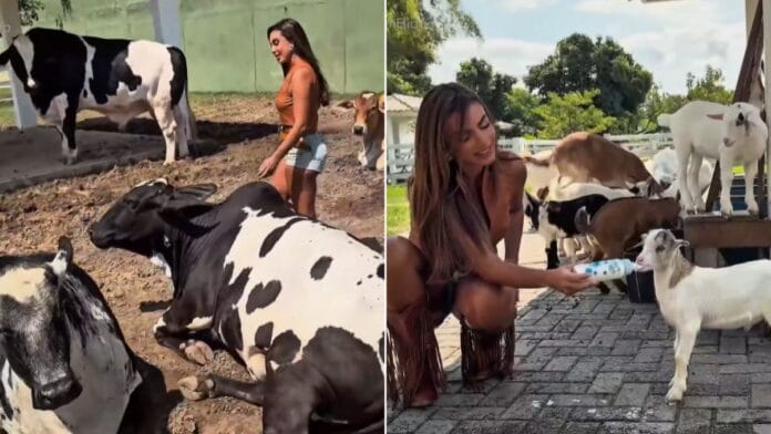 Nicole Bahls apresenta mini fazenda com animais “famosos” e batiza galo com nome de pagodeiro