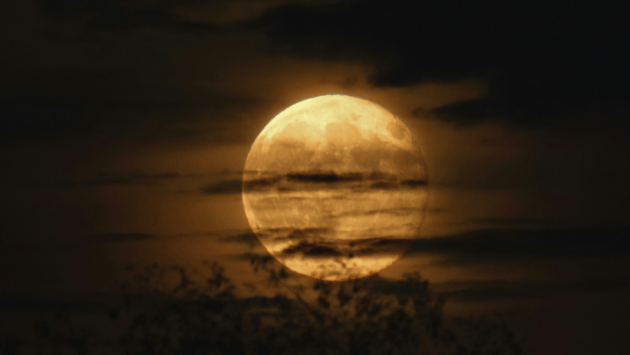 Qual a fase da Lua hoje? 29/09/2026