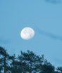 Qual a fase da Lua hoje? 03/09/2026