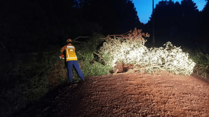 Alerta laranja: vento forte na madrugada causa destelhamentos e queda de árvores em cidade no Meio-Oeste de SC