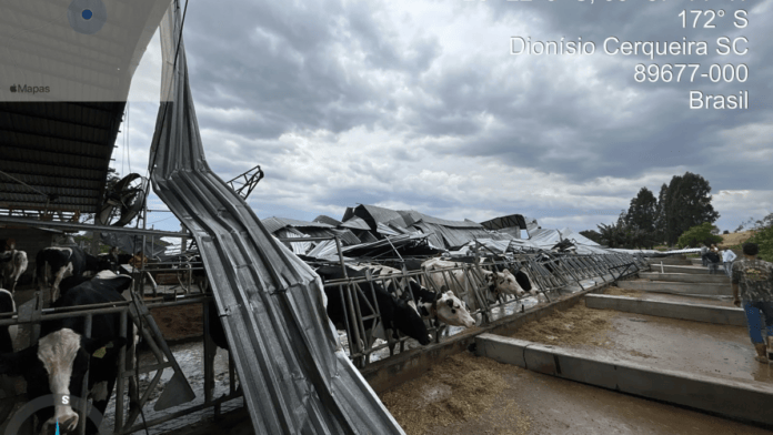 Temporal em Dionísio (2)