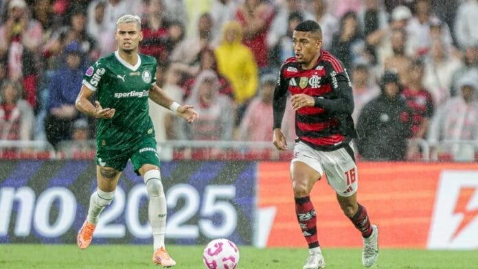 Flamengo e Palmeiras brigam ponto a ponto pelo título brasileiro (Foto: Gilvan de Souza, CRF)