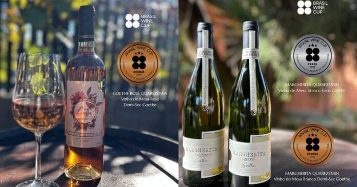 Vinho feito com uva típica do Sul de SC é eleito o melhor em concurso nacional
