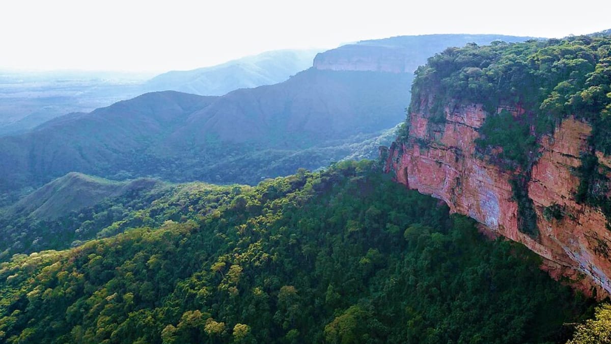 Paredões de arenito e vegetação do cerrado formam o cenário característico da Chapada dos Guimarães, em Mato Grosso (Foto: Carlos Souto/ Wikimedia Commons)