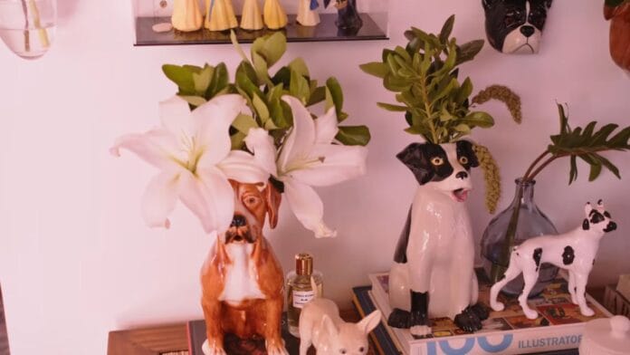 casa chay suede laura neiva