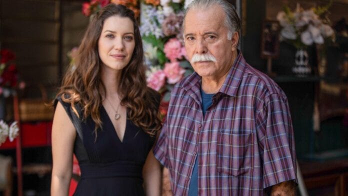 cenas da novela das nove da tv globo