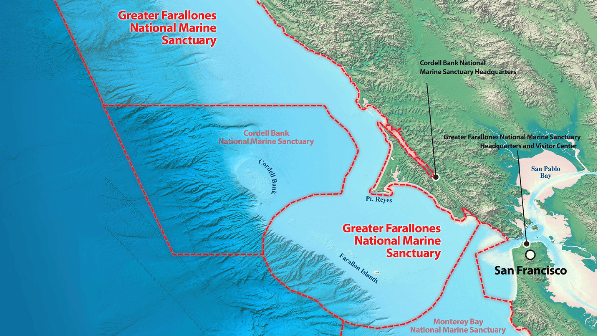 O litoral dramático de Point Reyes ajuda a visualizar a força geológica de uma região moldada pelo sistema da San Andreas (Foto: NPS)