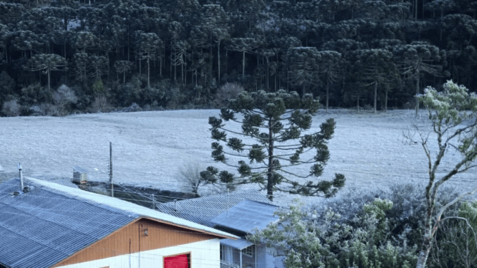 Previsão do tempo: frio avança sobre SC nesta terça (15/09), e temporais ameaçam mudar o tempo a partir da tarde