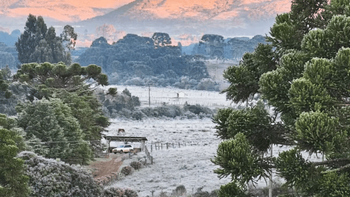 Frio ganhou força em SC (Foto: Sérgio Felipe Rodrigues)
