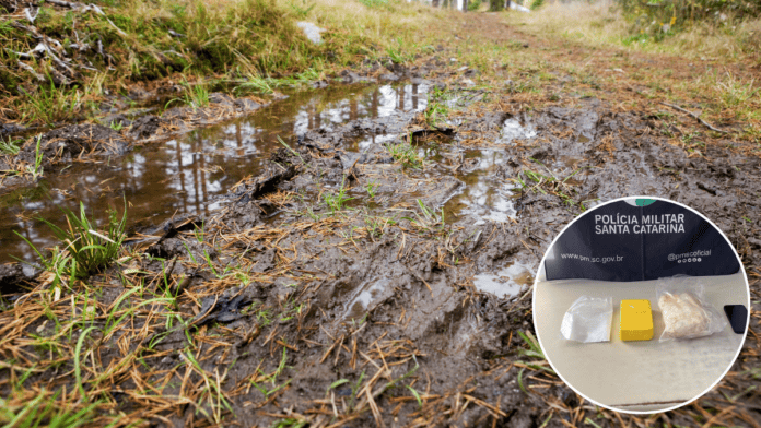 PM apreendeu 2,2 kg de cocaína em Balneário Gaivota (Foto ilustrativa: Banco de Imagens; PMSC, Divulgação)