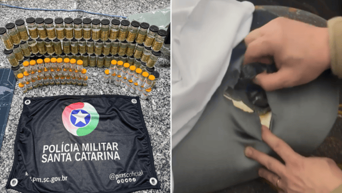 Passageiro rasga poltronas de ônibus para esconder "Mounjaro" falsificado, mas nervosismo entrega crime e homem acaba preso em SC