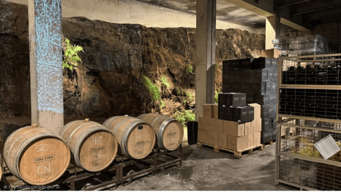 Vinho uruguaio