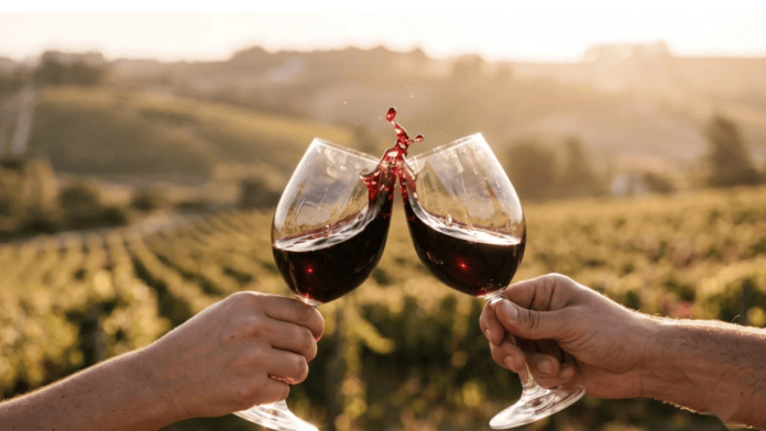 Vinho uruguaio