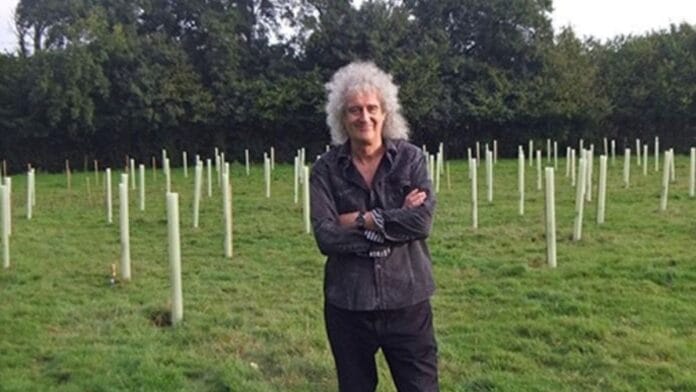Aos 79 anos, guitarrista famoso transforma antiga área agrícola em floresta com mais de 100 mil árvores
