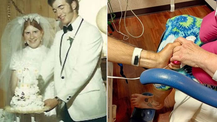 Casal sobrevive a acidente em viagem pelos 55 anos de casamento e chora de mãos dadas ao se reencontrar no hospital