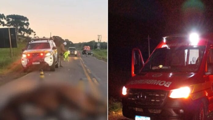 Motociclista bate contra cavalo, cai na pista contrária e morre atropelado em rodovia de SC