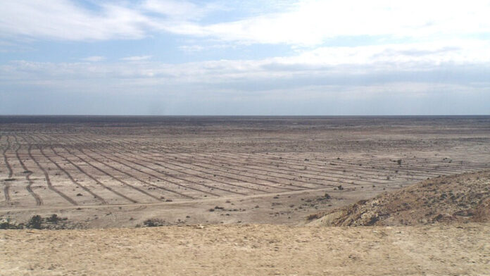 A ganância humana secou um dos maiores lagos do mundo; agora, o plantio em 1,7 milhão de hectares tenta conter a tragédia ambiental