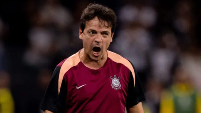 Após demissão, Fernando Diniz chega a acordo com clube de SP e já aparece no BID da CBF